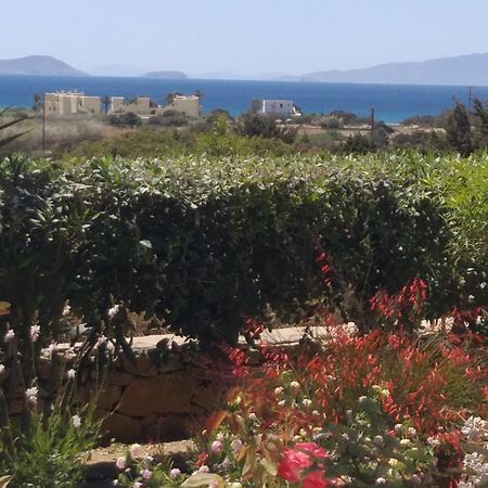 Asterakia Apartment Aliko Beach Bagian luar foto