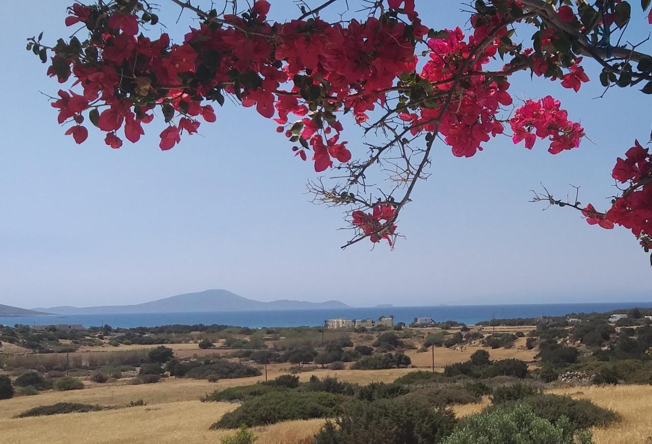 Asterakia Apartment Aliko Beach Bagian luar foto