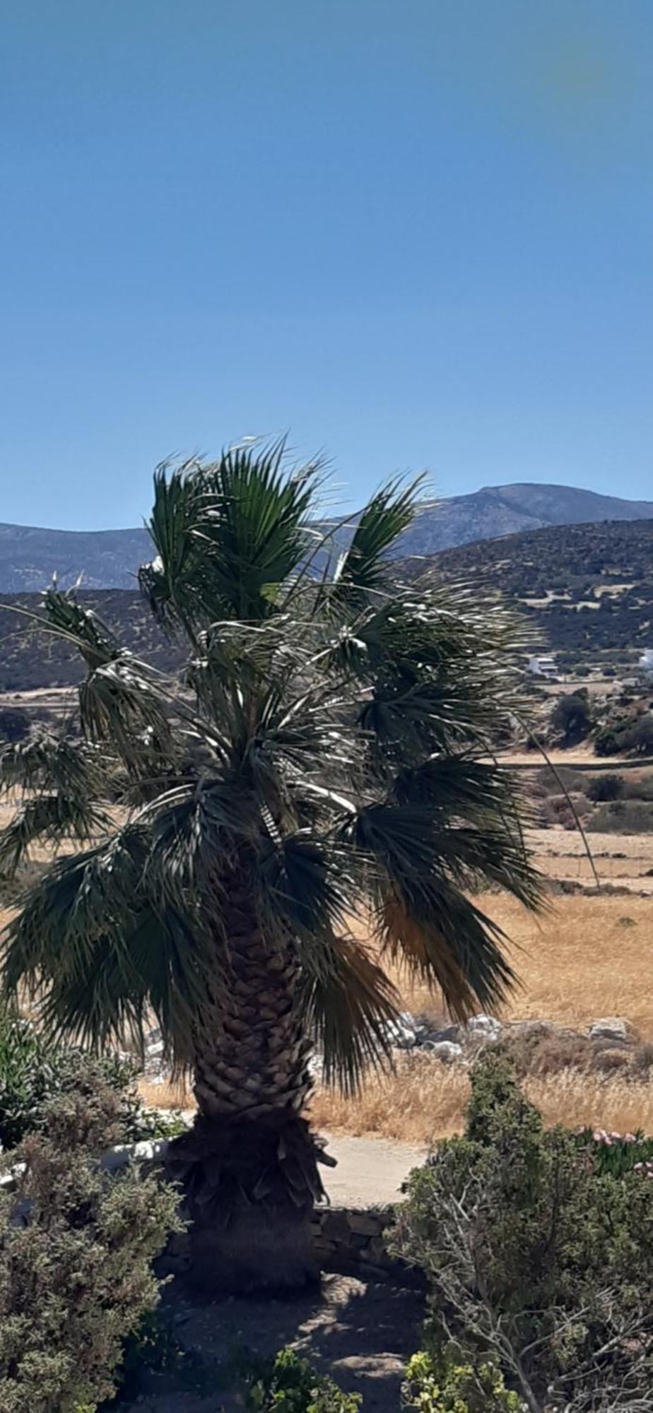 Asterakia Apartment Aliko Beach Bagian luar foto