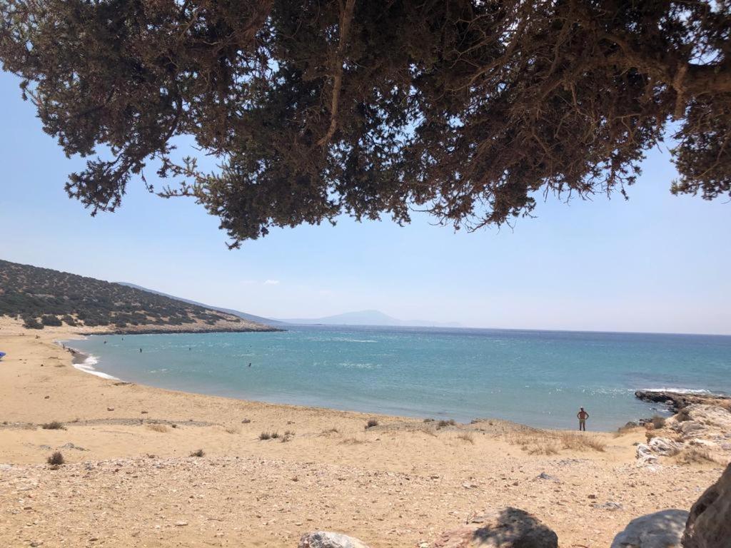 Asterakia Apartment Aliko Beach Bagian luar foto