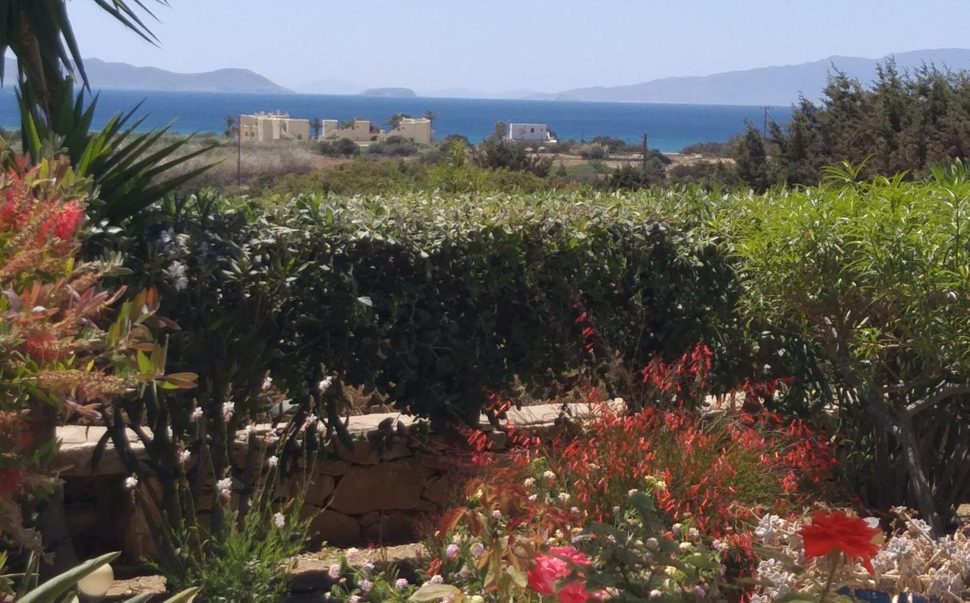 Asterakia Apartment Aliko Beach Bagian luar foto