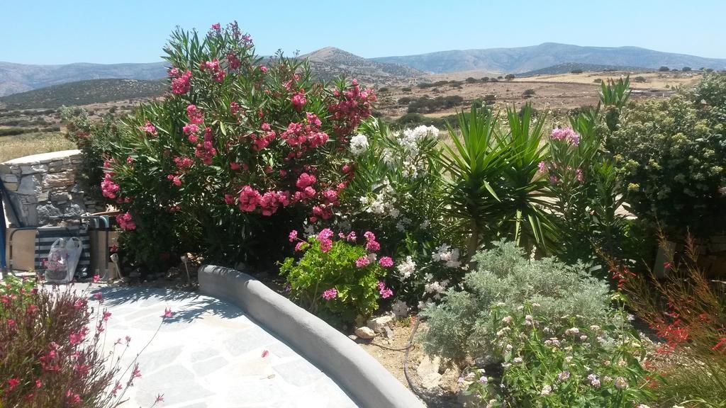 Asterakia Apartment Aliko Beach Bagian luar foto